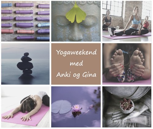 Yogaweekend på Rømskog spa & resortmed Anki og Gina